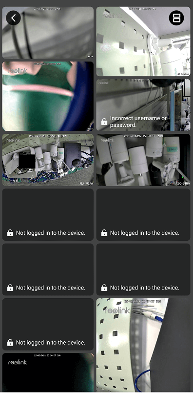 „Reolink“ Immersive režimo kamerų peržiūra